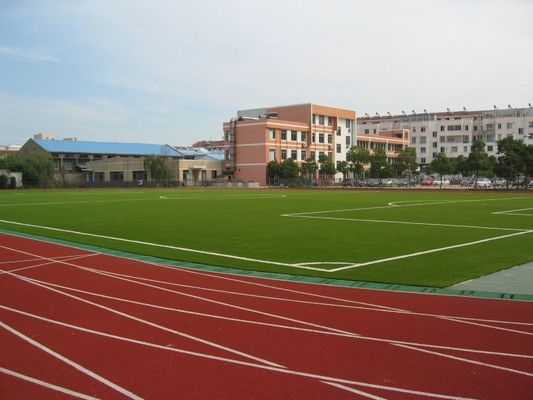 hilado artificial rojo del césped de los deportes de la hierba de 25m m, hierba 100% del artículo de 9000 Dtex PE
